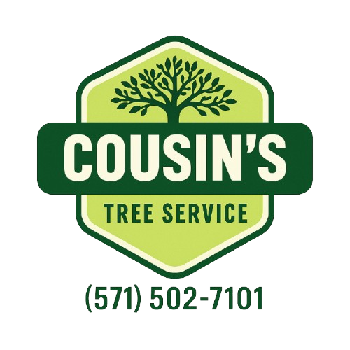 cousin logo